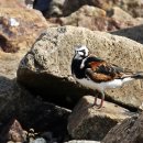 방파제파크 이미지