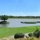 티업골프시티 이미지