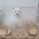 산소방