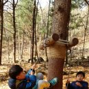 신동초병설유치원 이미지