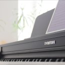200 | 야마하 전자피아노 입문용 알아보다 선택한 다이나톤 DT200 추천 후기