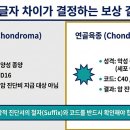 부여육종 이미지