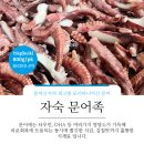 주식회사 타이거에스에프 네이버블로그