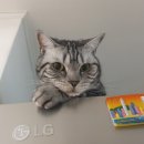 에스티엠(STM)치과의원 이미지