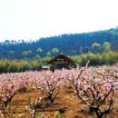 무석 농장 이미지