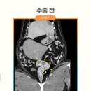 한마음종합동물병원 이미지