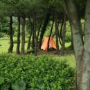 돈내코사무실화장실 이미지