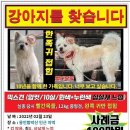똘이집