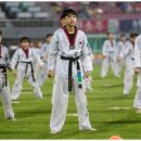 연세대태권도 이미지