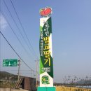 보성녹차미인 이미지