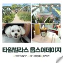 웁스어데이지 의왕 타임빌라스 실내애견동반 생크림카스테라 추천