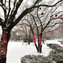 서운동산 이미지