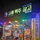 뉴캐슬 | 뉴캐슬 병맥 구매후기