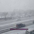 신다문화행정사 이미지