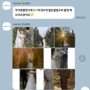 대구 인물중심 토탈 웨딩 스튜디오 누에보 스튜디오 계약 후기 사전미팅 및 촬영시안
