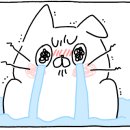칸도진 이미지