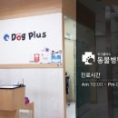 도그플러스 동물병원 간석점 이미지