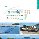 금오도 야영장 이미지