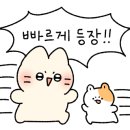 하늘달빛로R 이미지