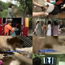 황구농장 이미지