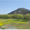 두류공원 이미지