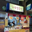 이마트24편의점 남구주안본점 | [유잼도시 울산🐳] 천 원 크기 붕어빵이 유명한 신정시장 맛집 하루땅콩빵