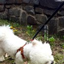 (주)행복나눔 | 나눔받은 아이들 후기