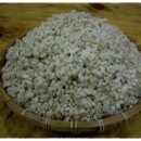 꽁보리밥 이미지