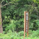 Najost Camp 이미지