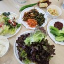 한국치매예방협회대전지회 | 천안 레크리에이션협회 "미래형 실버강사 프로젝트" 강의후기