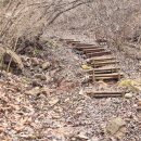 월곡초교 이미지