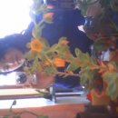 종합경기장-좌 | 2025년 11월 | 일상 기록