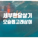 아론투어 이미지