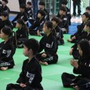 타이거 합기도 도장 이미지