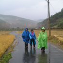 협성고등학교 이미지