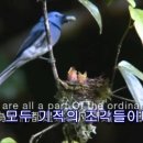 오늘도(Today) Daum카페