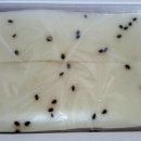 웰빙맛집 이미지