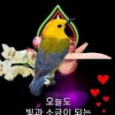 매듭 이미지