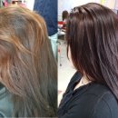 큐사랑염색 이미지