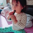 유한사슴농장 이미지