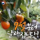 상수씨족발 | 8을 넘어트리면 무한대여 ~ 무한대로 술을 마신 것 같기도 ㅜ 8월 후기 블로긔 (스압 주의 ㅋ