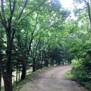 장곡자연휴양림 이미지