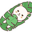 예쁜컷헤어샵 이미지