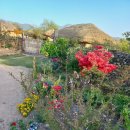 남문주차장민박 이미지