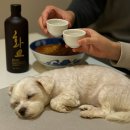 도그랑펜션 이미지