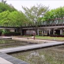 자동산책길 이미지