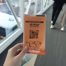 정방동 가야밀면 남쪽 | 가을 제주여행 3박4일 중 1일차(무지개해안도로,일통이반,981파크,카멜리아힐,돈사돈)