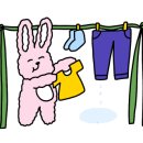 바이오밸리길 이미지