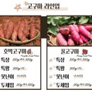 나이스농산 이미지