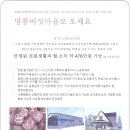 버섯마을 이미지